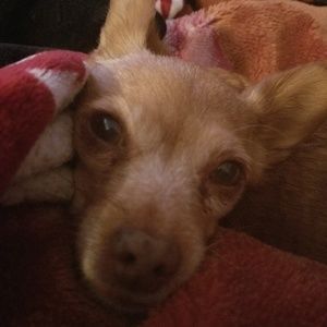 Meet your Posher, Wendy